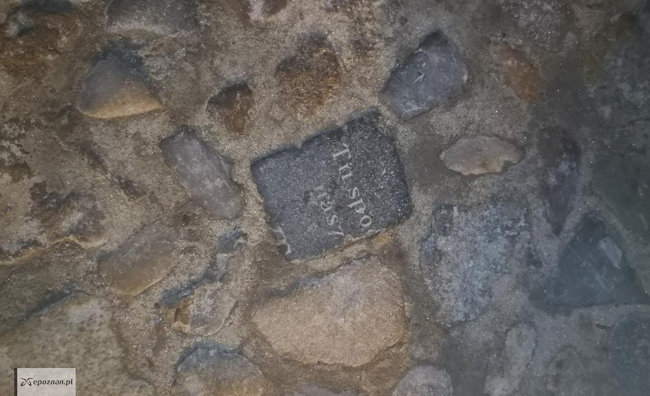 fot. Czytelniczka