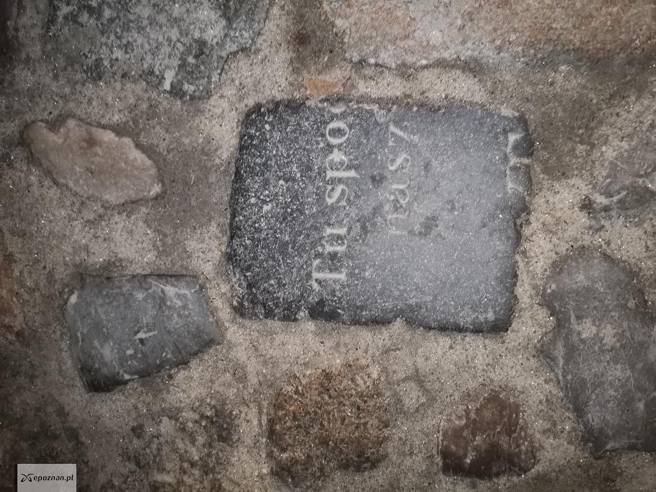 fot. Czytelniczka