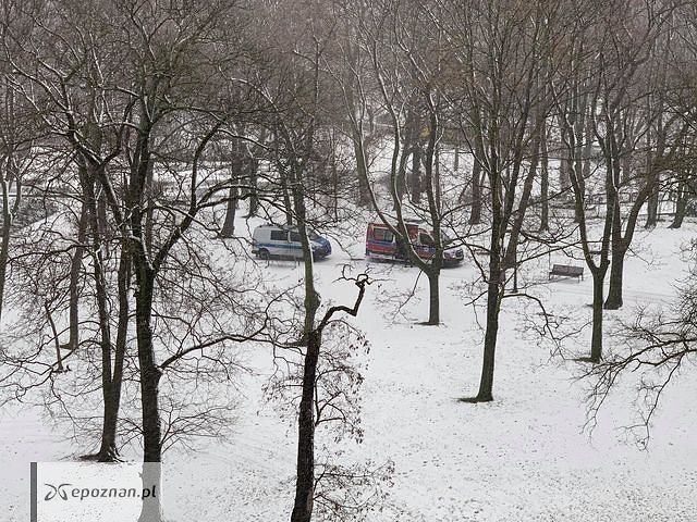 fot. Krzysztof