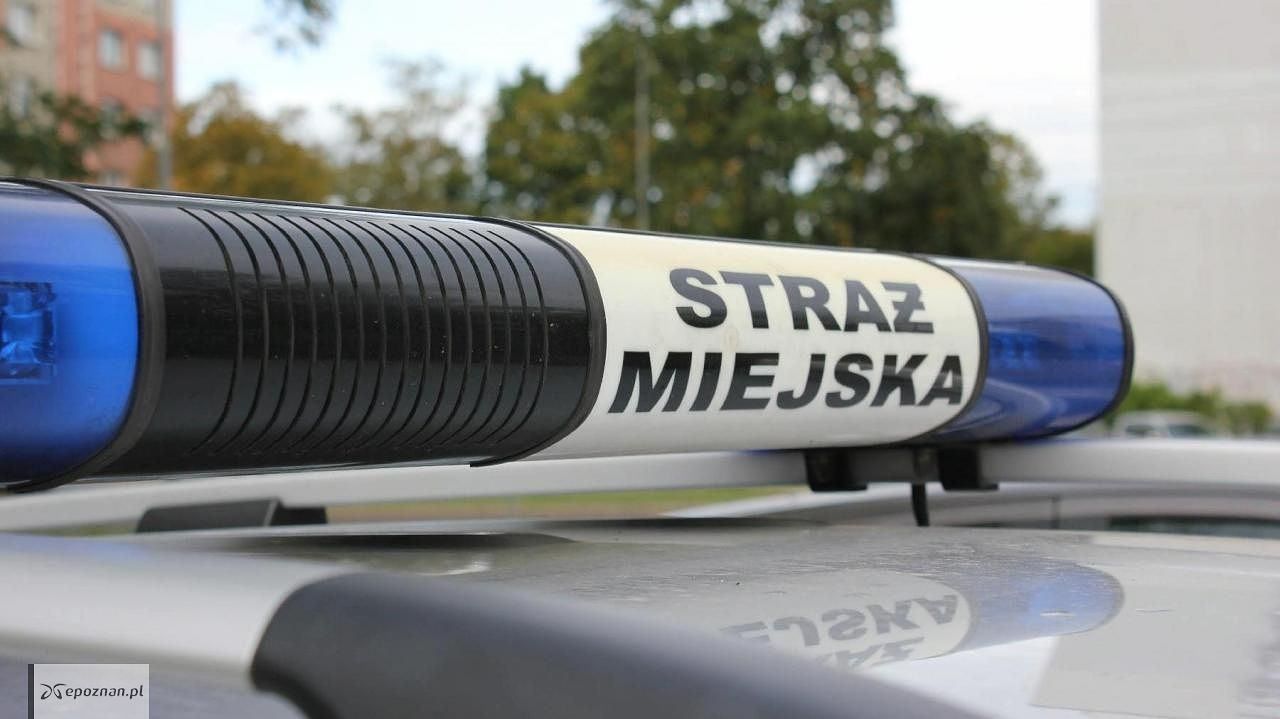 fot. Straż miejska