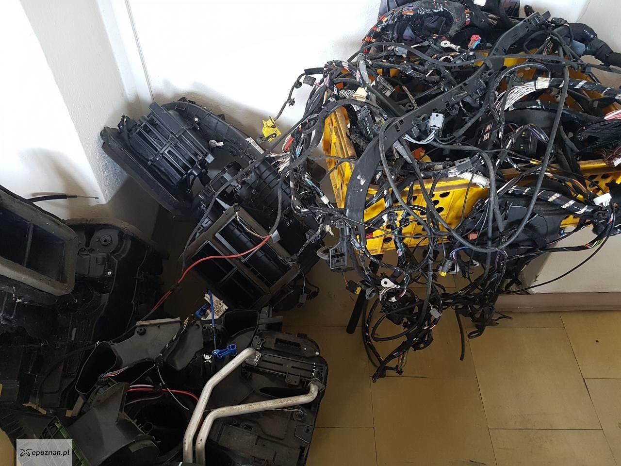 fot. Policja