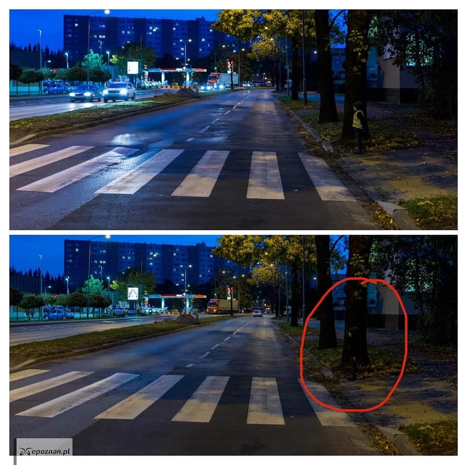 fot. KMP Poznań