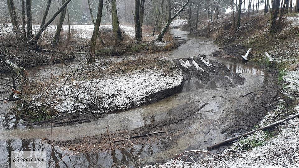 fot. Czytelnik
