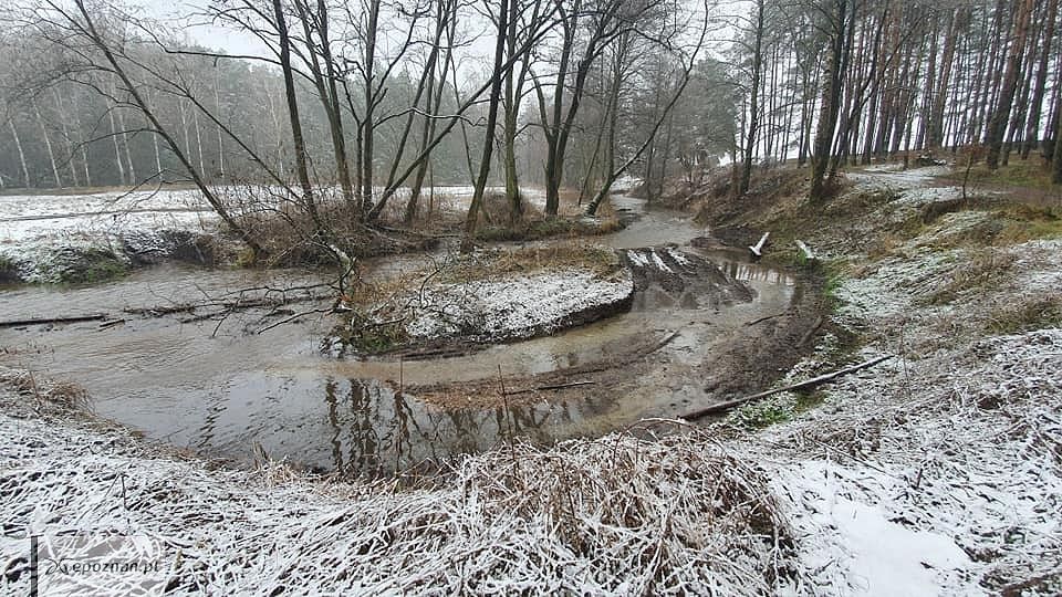 fot. Czytelnik