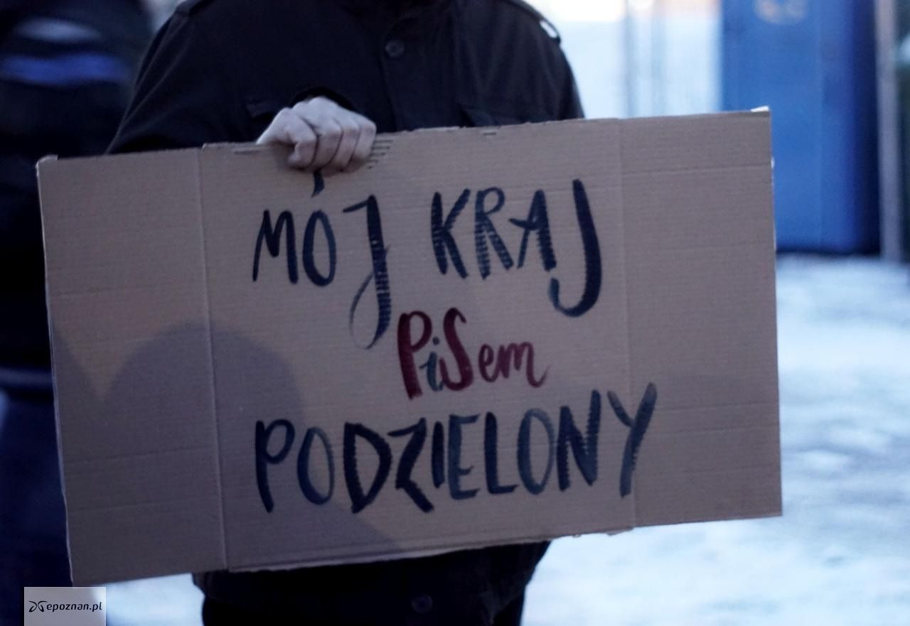 fot. Katarzyna Michalak