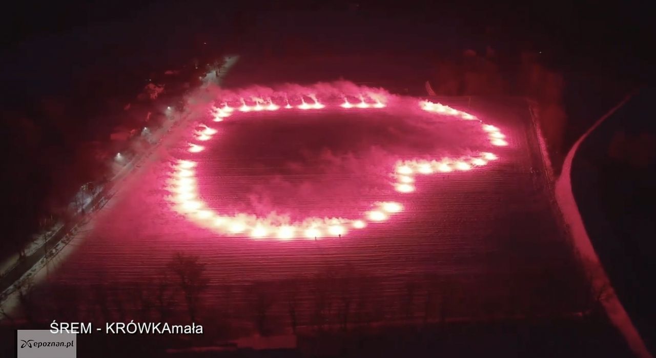 fot. Krówka Mała Śrem FB