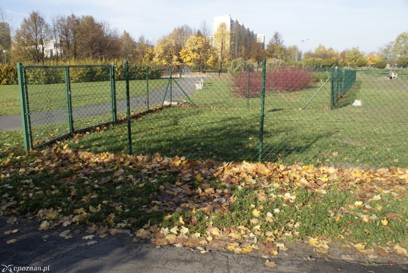 Miejsce, w którym stał automat | fot. SOŁTYS
