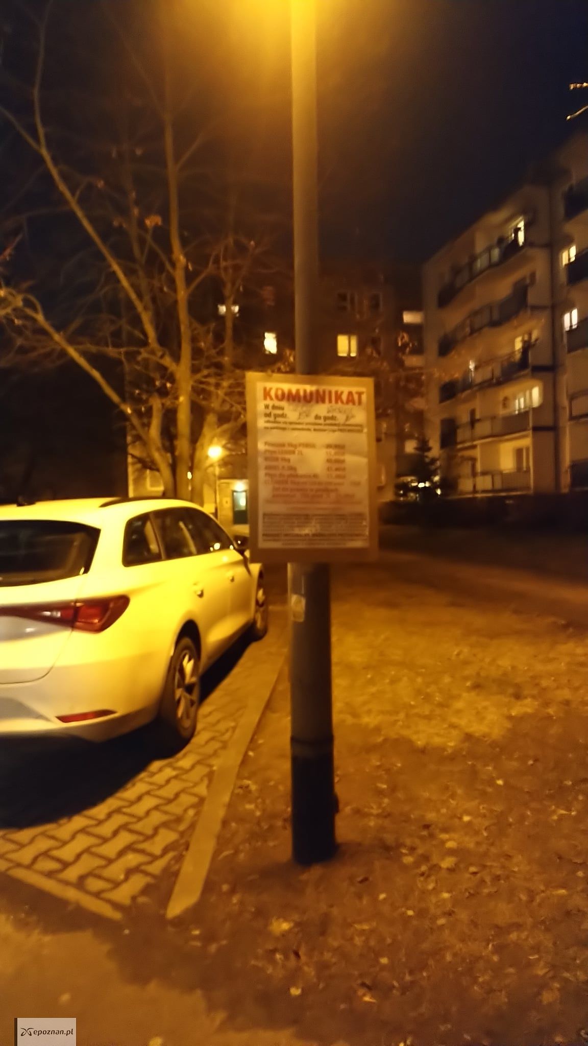 fot. Straż miejska