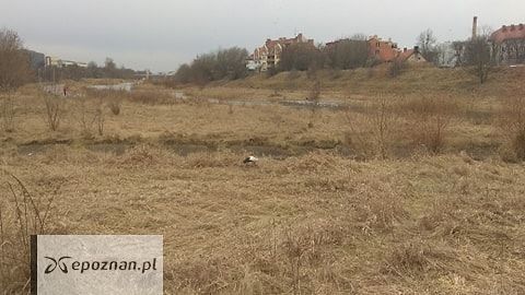 fot. Czytelnik