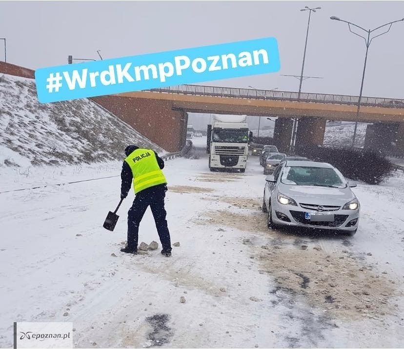 fot. policja