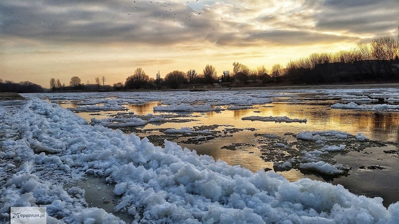 fot. Maciej Maćkowiak / archiwum