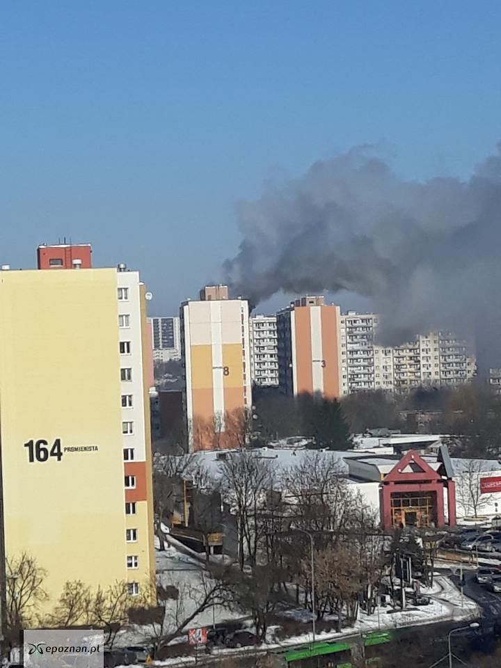 fot. Czytelnik