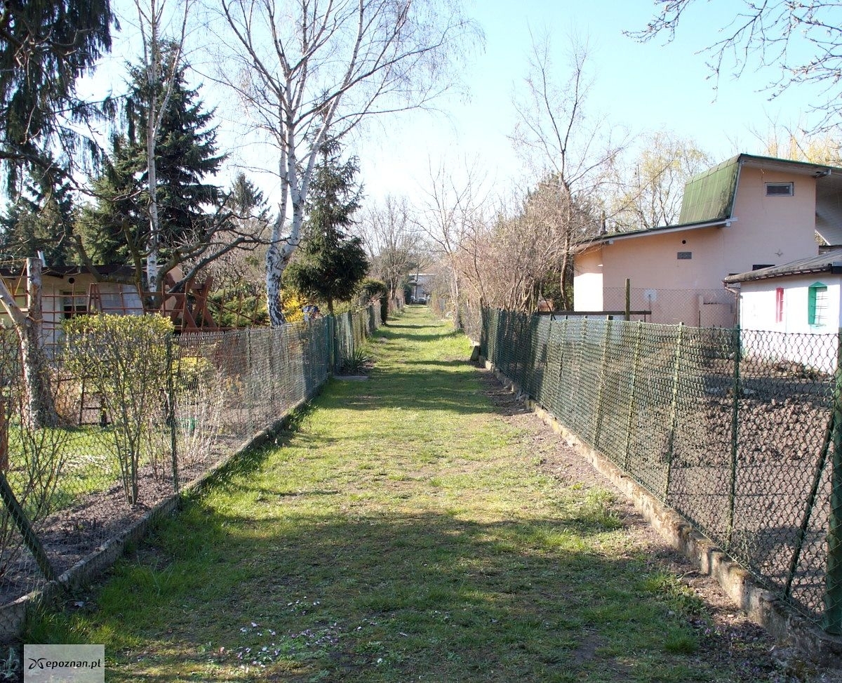 Wiele osób z utęsknieniem wypatruje znaków wiosny | fot. Włodzimierz Hoppel