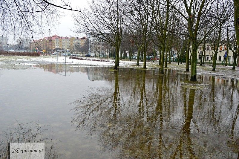Zdjęcie z 2013 roku | fot. Maciej Burchardt