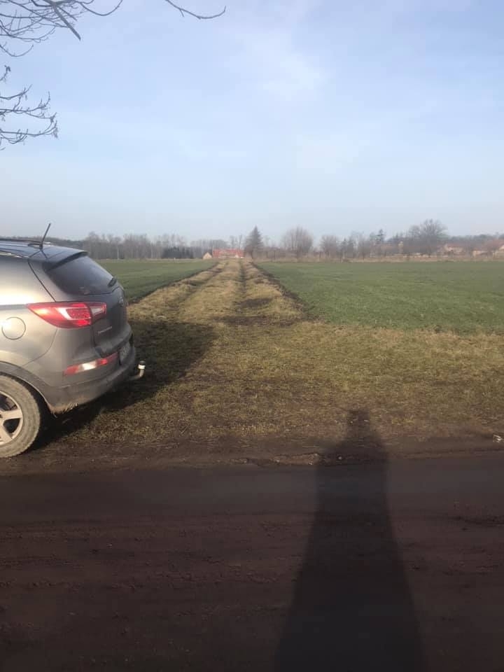 W tej okolicy widziano psa | fot. TOZ Kościan