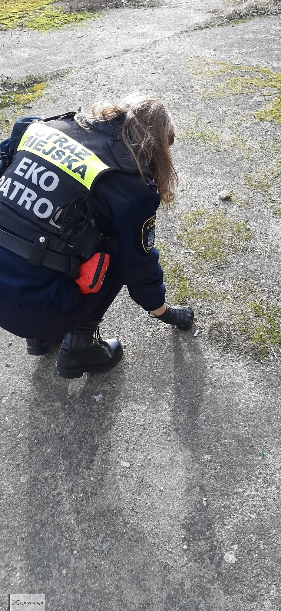 fot. Straż miejska