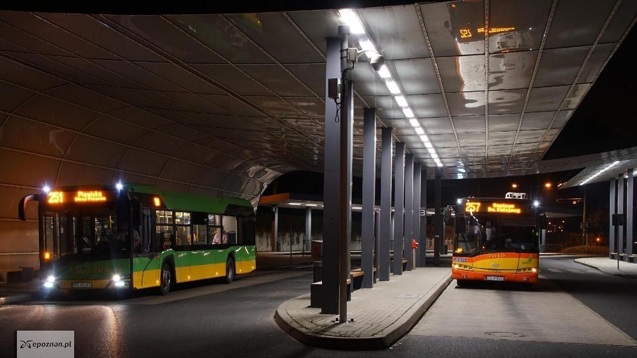 fot. UM Poznań