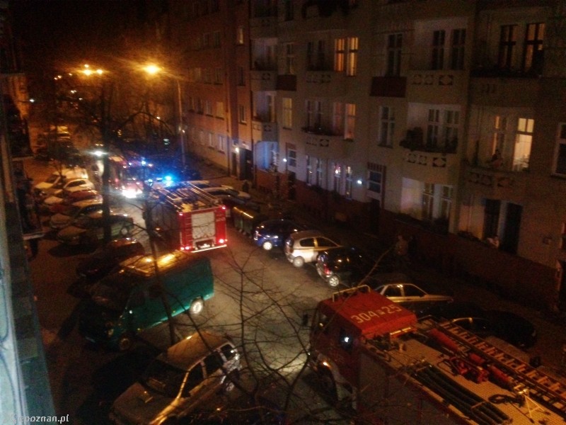 fot. Krzysztof P.