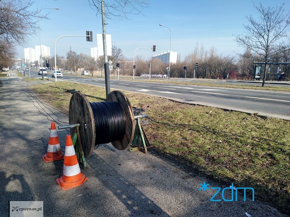 fot. ZDM