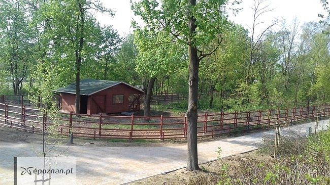 fot. www.leszno.pl