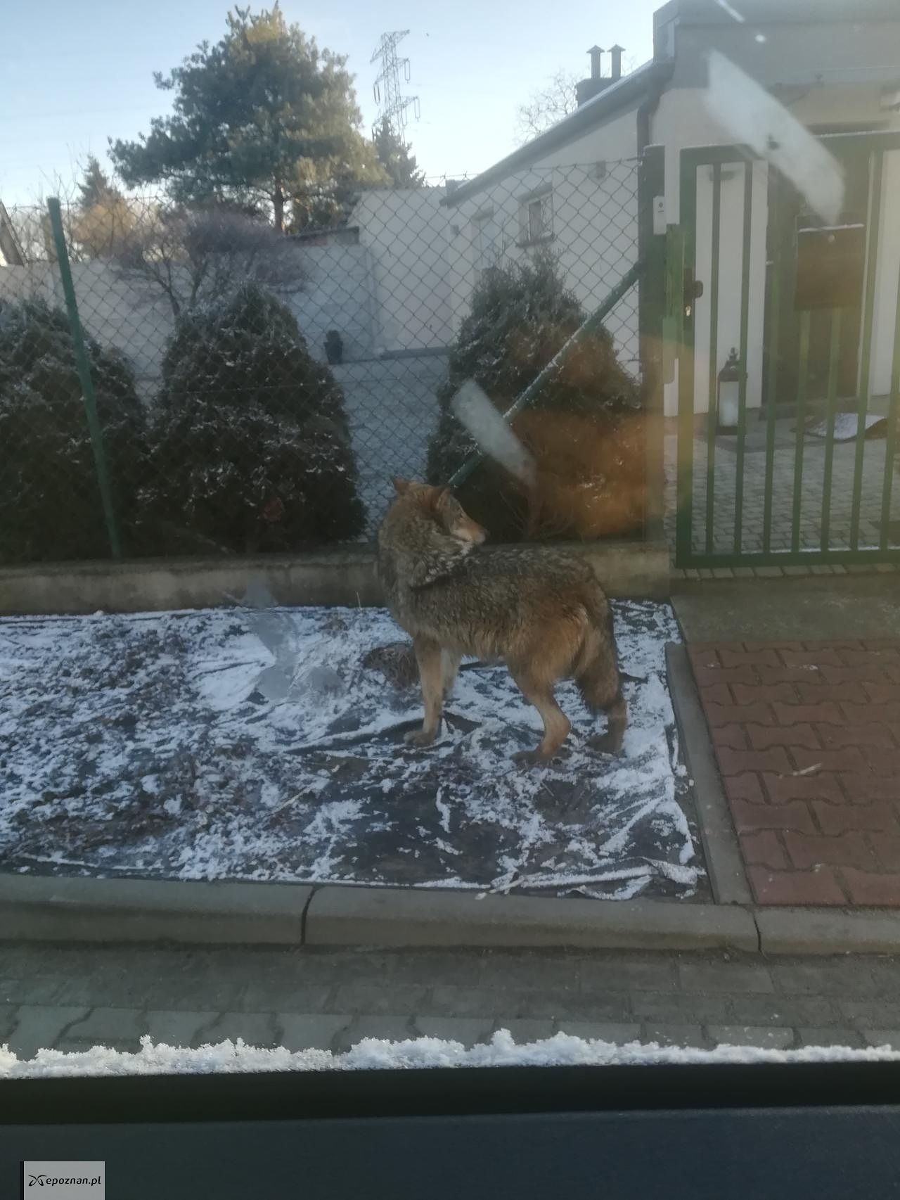 fot. Snow