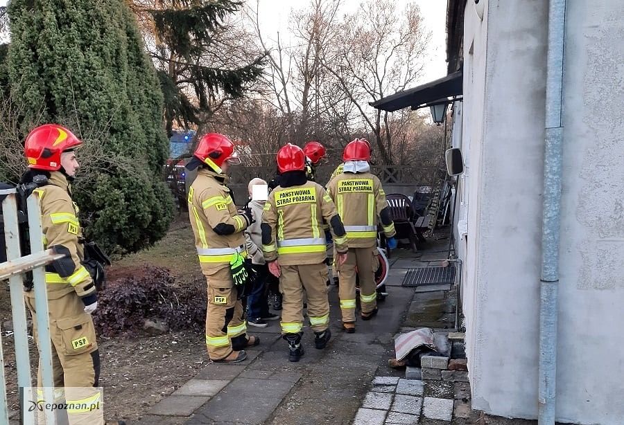 fot. Straż miejska