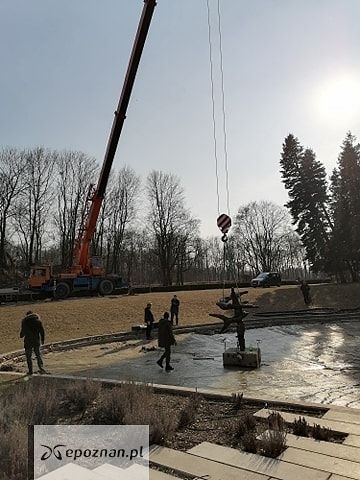 fot. Czytelniczka