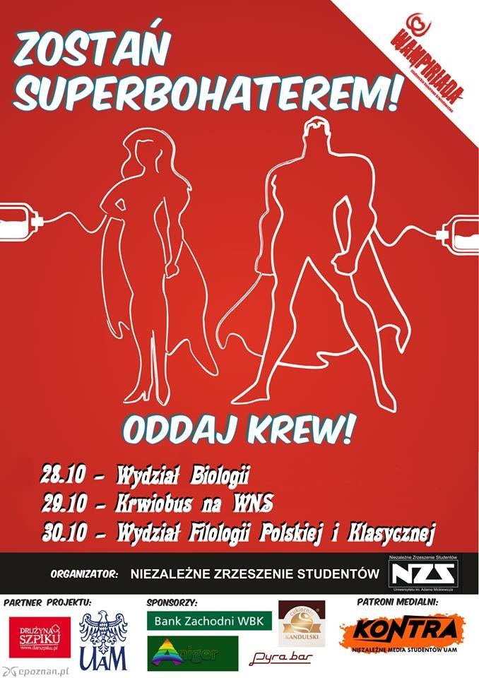 fot. materiały prasowe