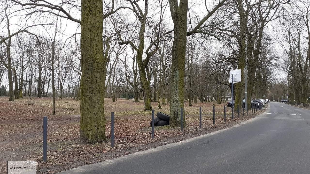 fot. ZZM Poznań