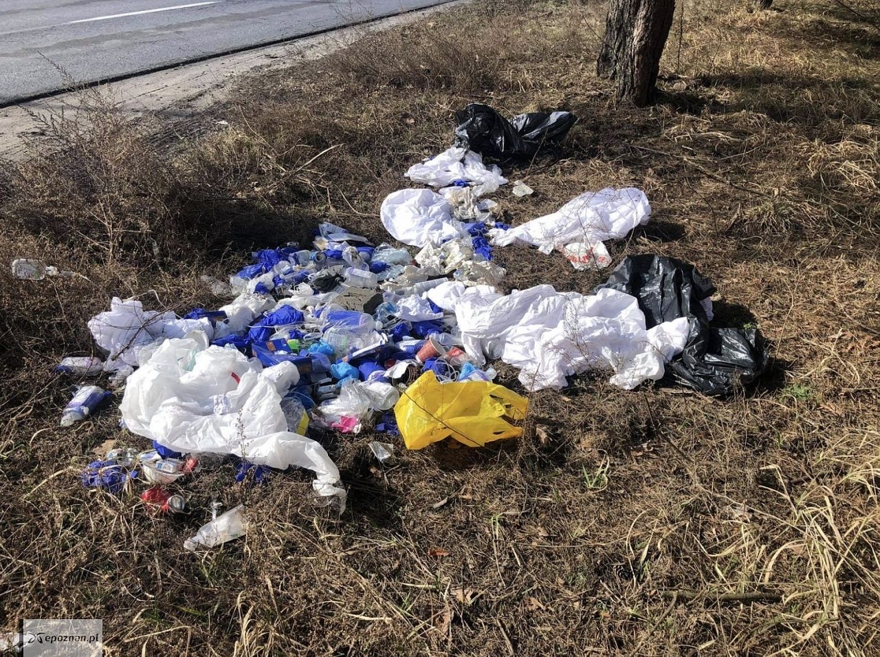 fot. Straż miejska