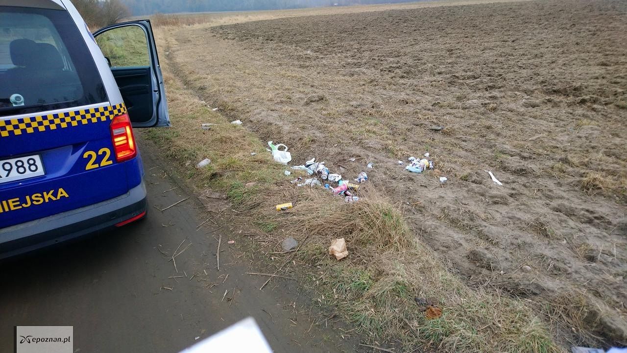 fot. Straż miejska