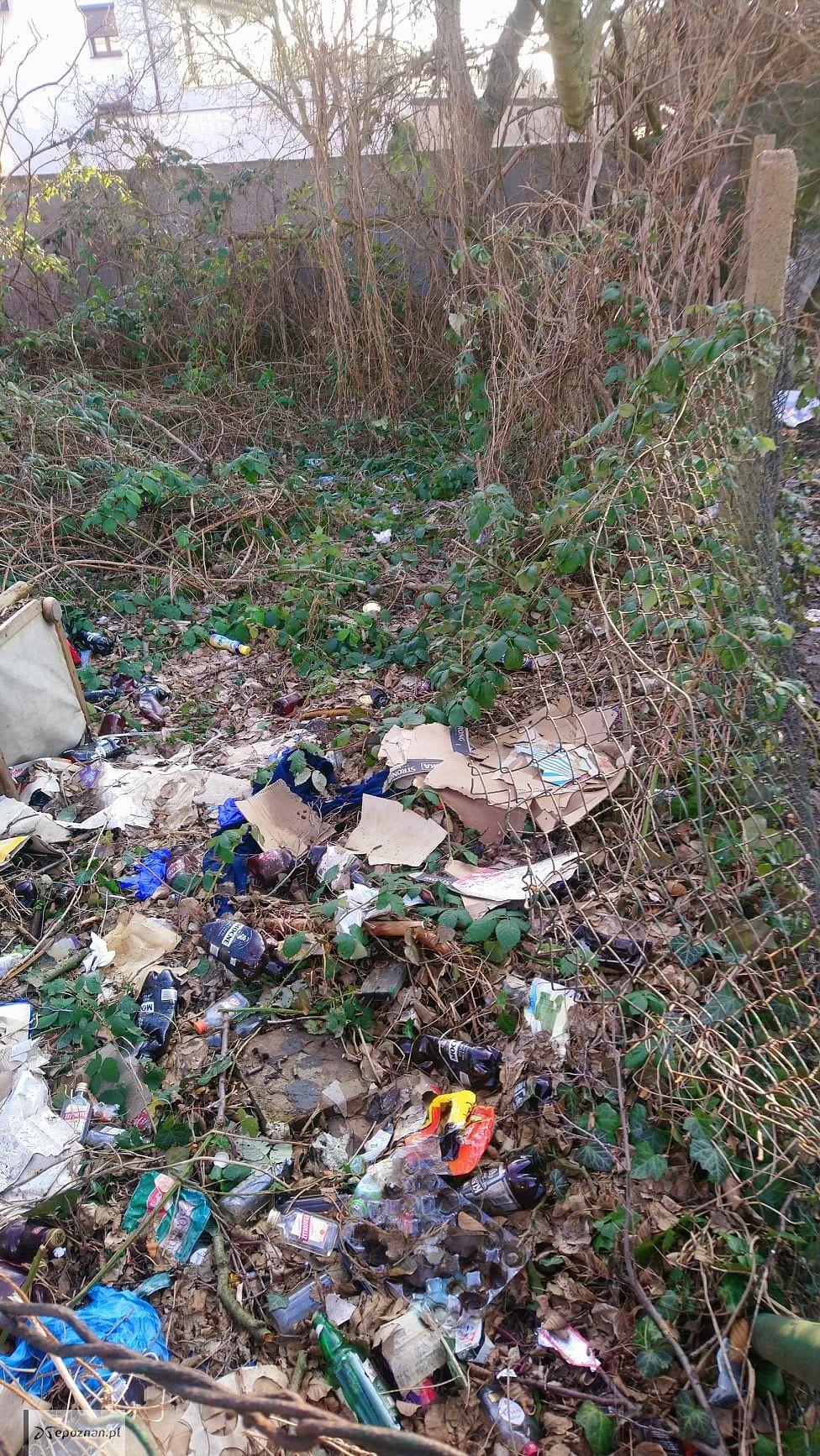fot. Straż Miejska
