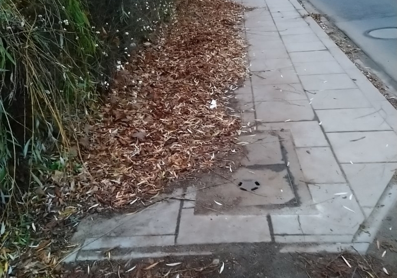 fot. Straż Miejska