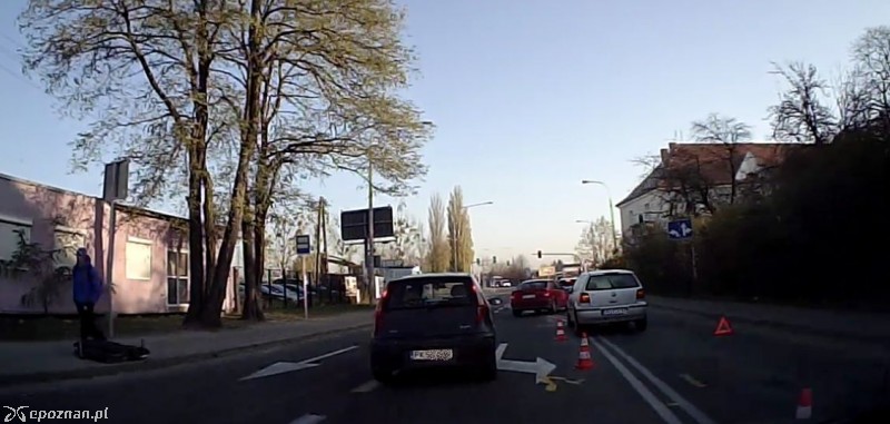 Wilczak | fot. Andrzej