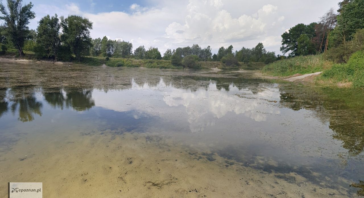 Młyński Staw | fot. Tomasz Szabłowski / Google Street View