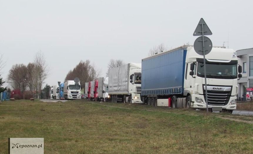 fot. Mariusz