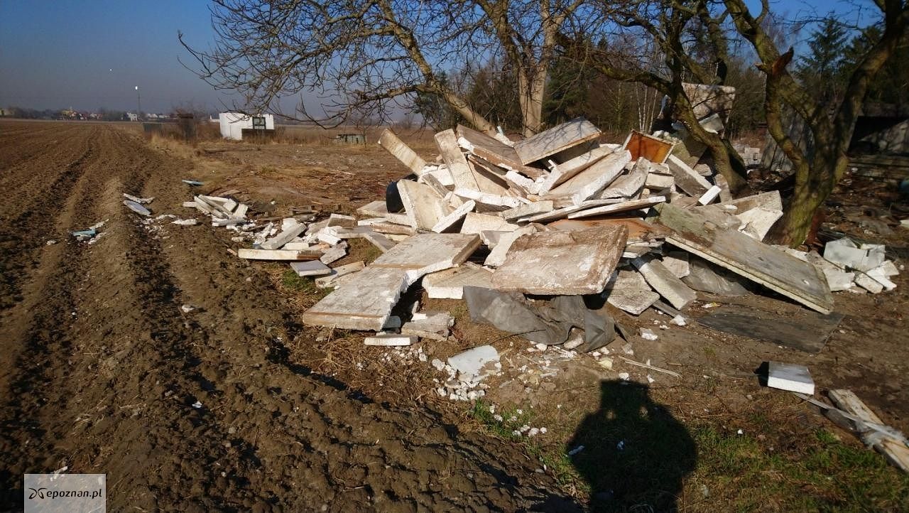 fot. Straż miejska
