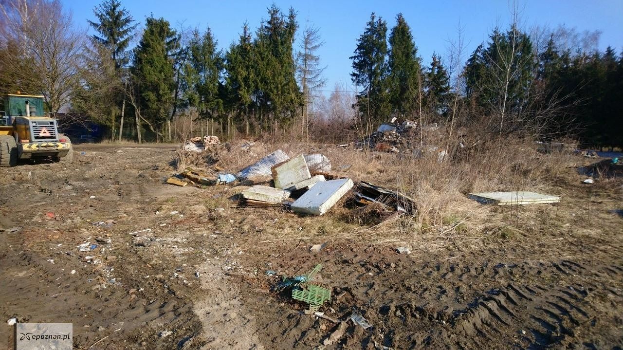 fot. Straż miejska