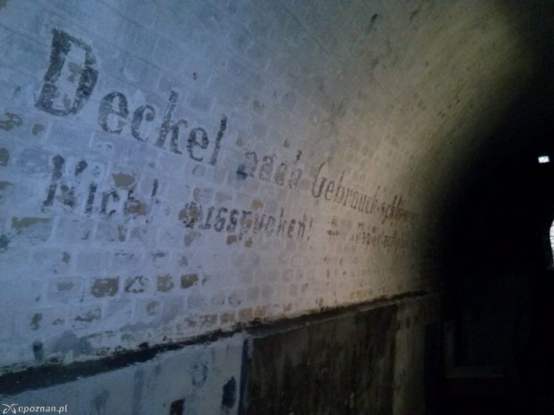 fot. Piotr Staniewski / Kernwerk