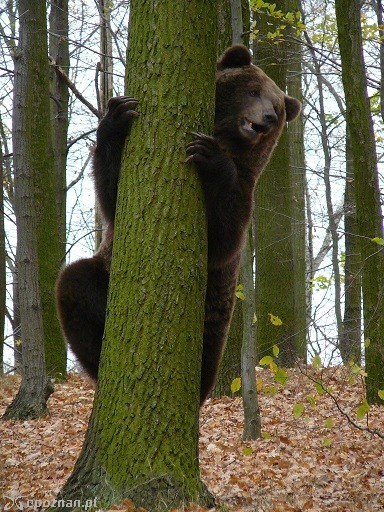 fot. Nowe ZOO