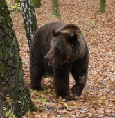 fot. Nowe ZOO