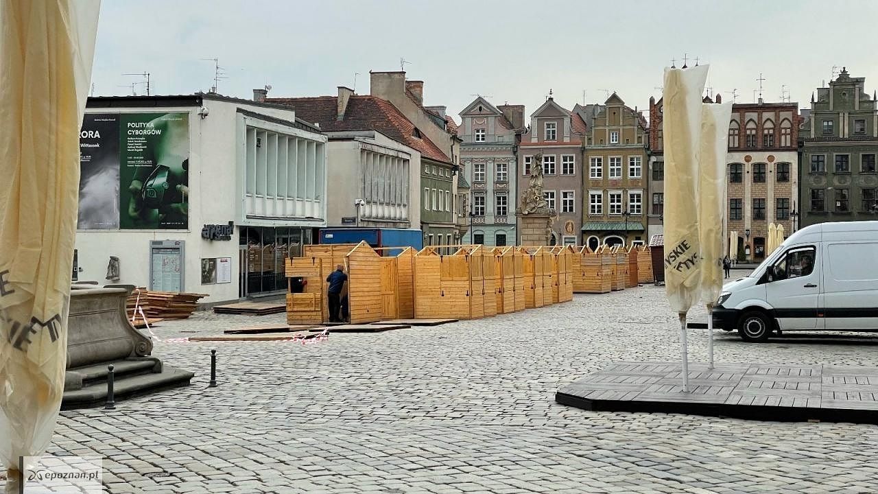 fot. UM Poznań