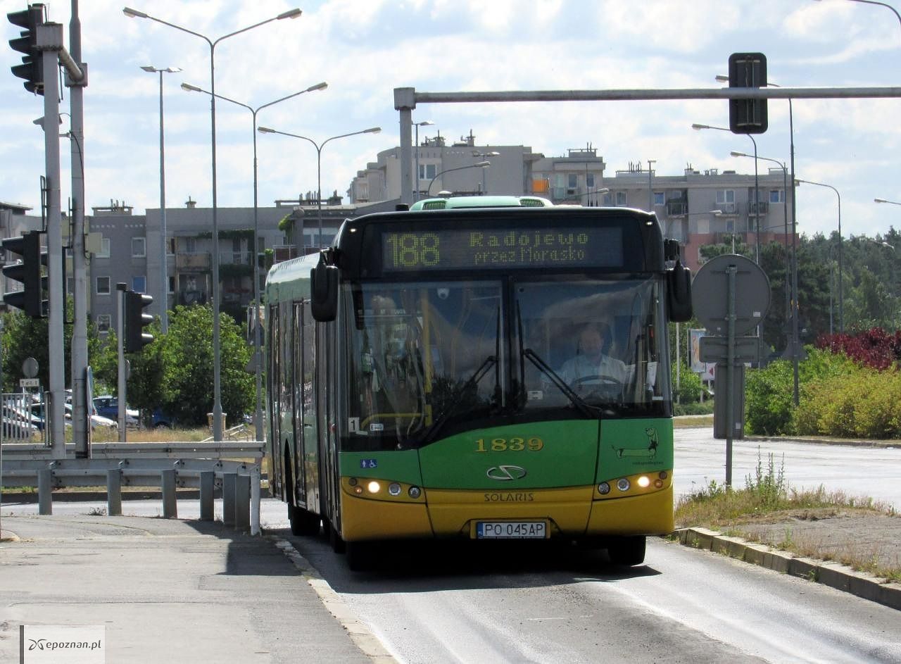 fot. ZTM Poznań