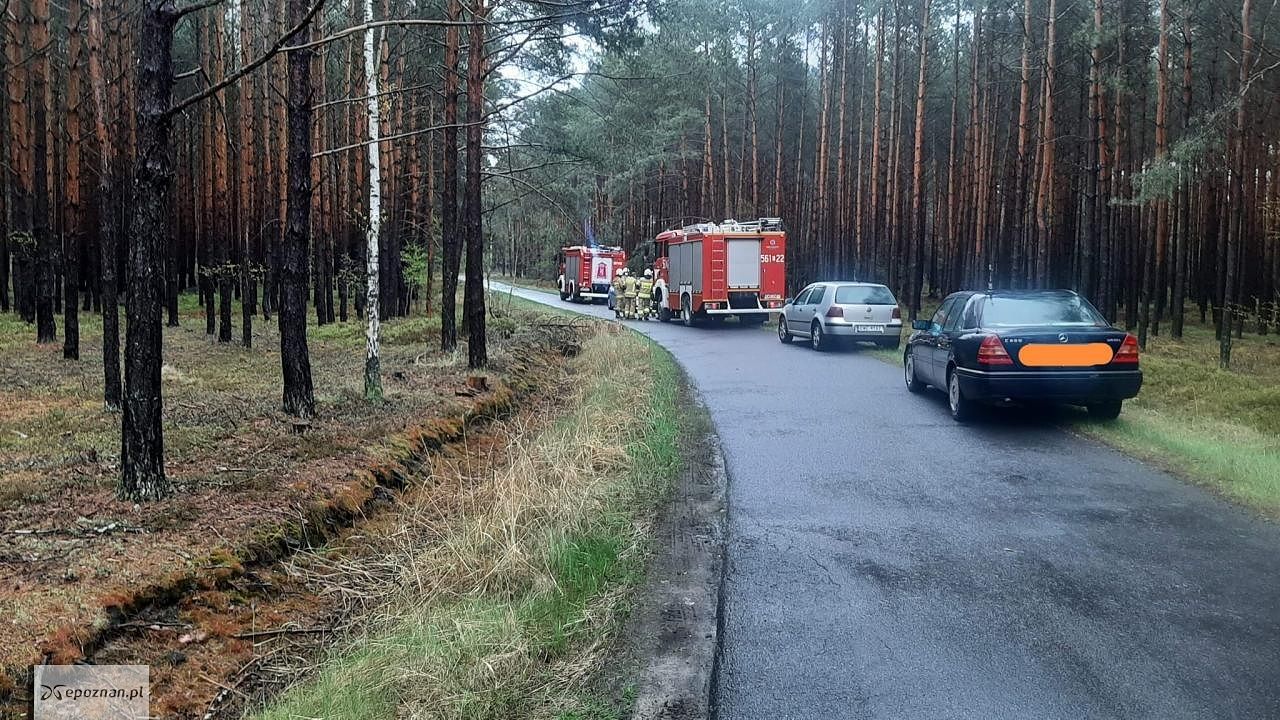 fot. Andrzej Łacina, Sołectwo Spóle / Nadleśnictwo Przedborów