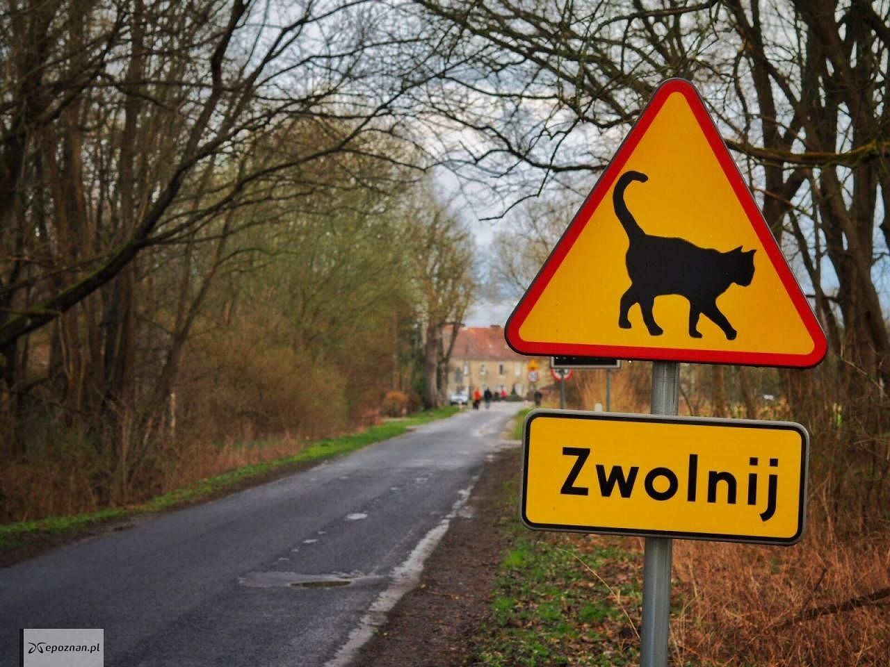 fot. asta24.pl