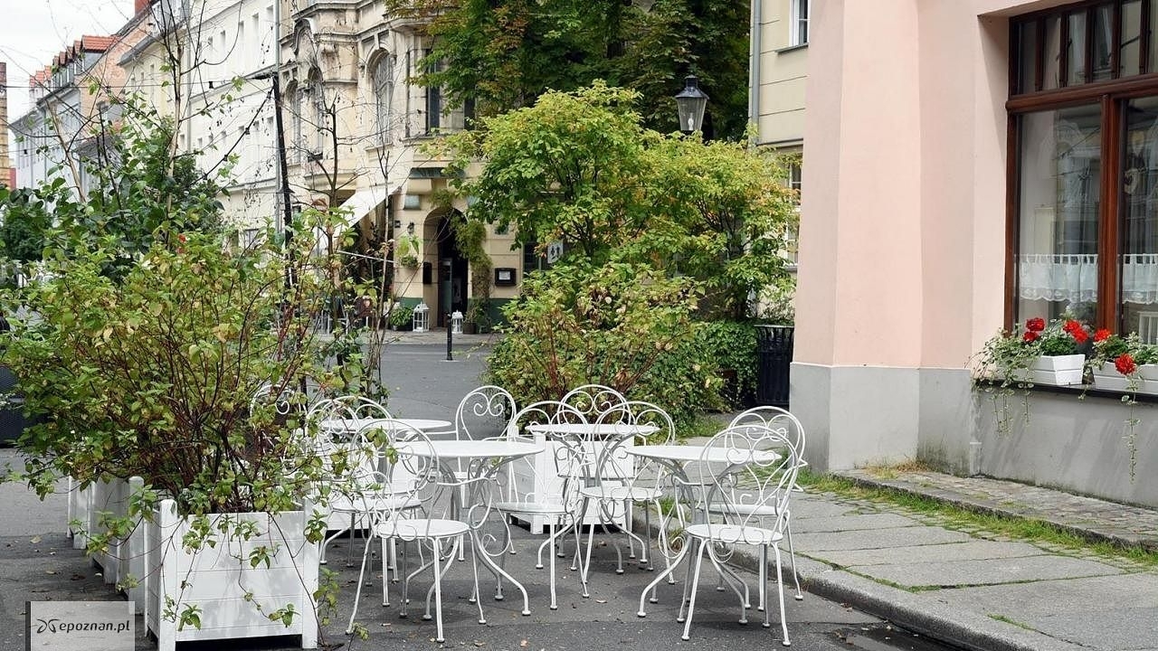 fot. UM Poznań