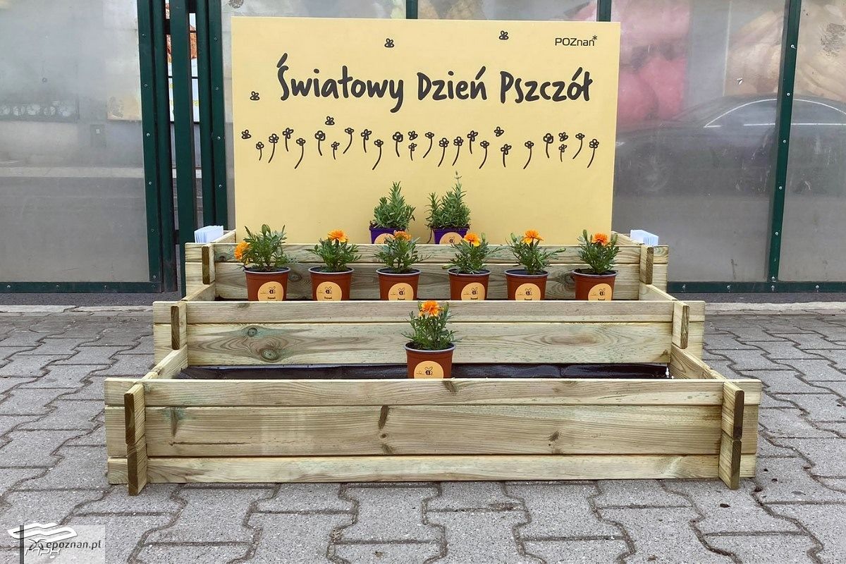 fot. MPK Poznań