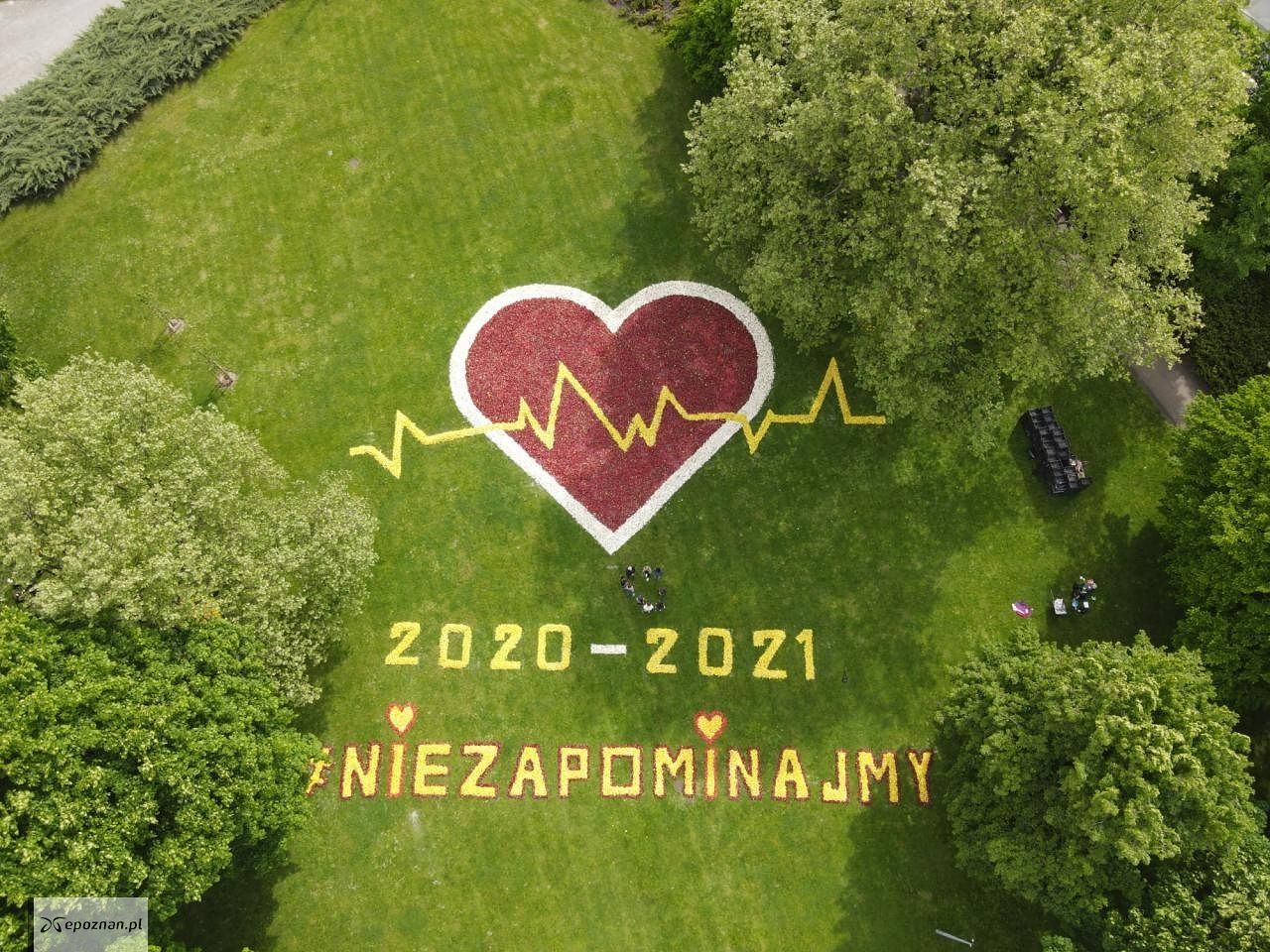 fot. Poznań z lotu ptaka