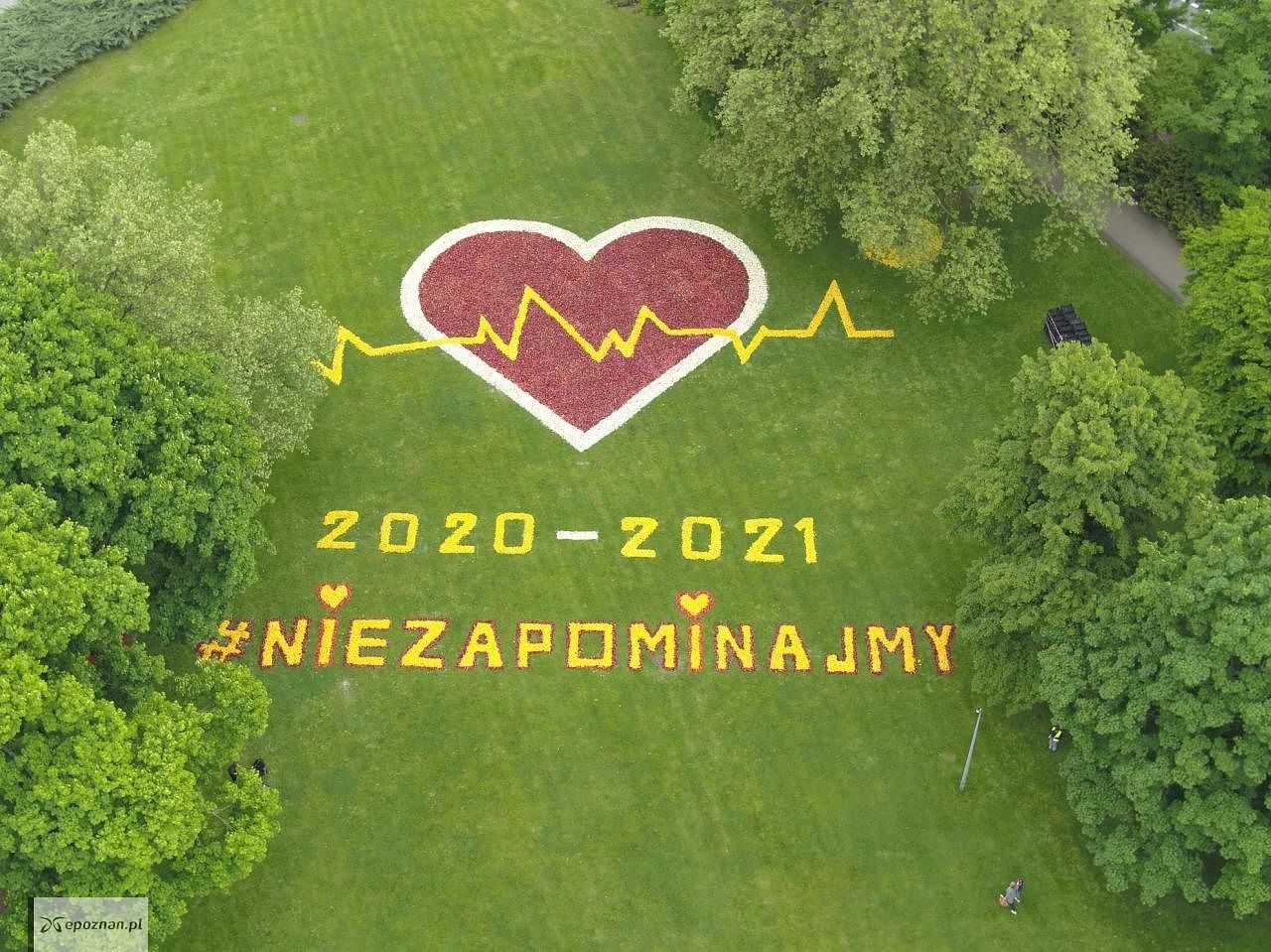 fot. Poznań z lotu ptaka