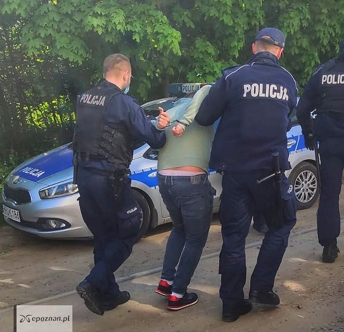 fot. policja
